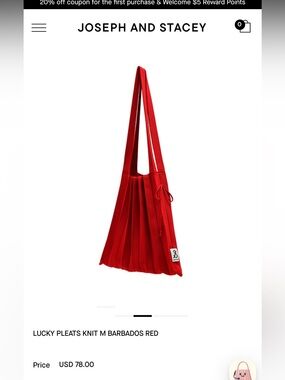 NWT Joseph and Stacey lucky pleats knit bag